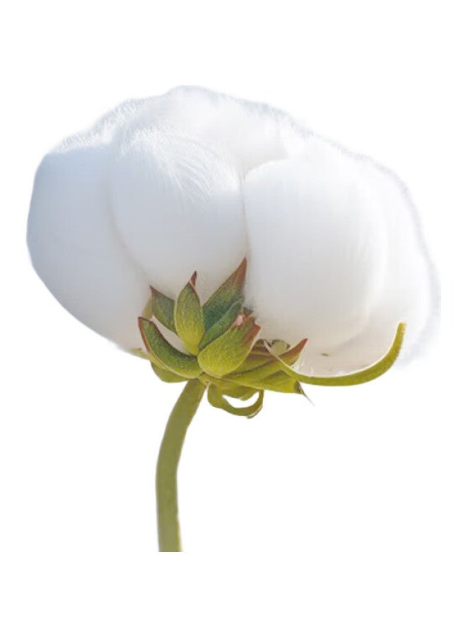 JD.com Jingzao [Hidden Sweat Stains] Men'S Polo Shirt Short Sleeve Men'S Top Gift For Boyfriend, Navy Blue Xl - Image 2