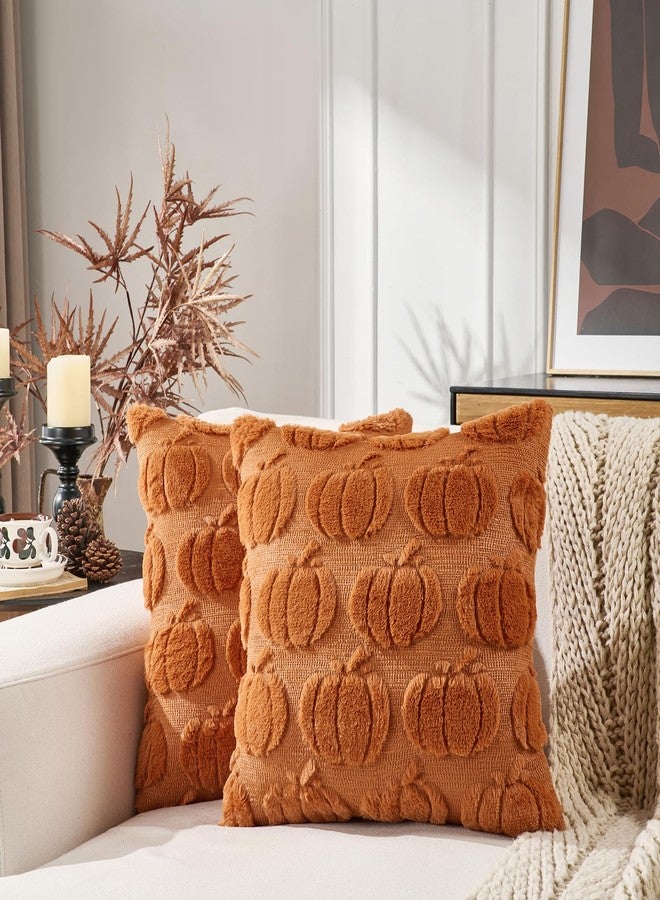 Volcanics Pumpkin Fall Throw Pillow Covers 20x20 Set of 2, Rust Decorative Faux Fur Cushion Covers, Fluffy Plush Accent Pillowcases for Autumn Harvest Farmhouse Couch Decor - Image 3