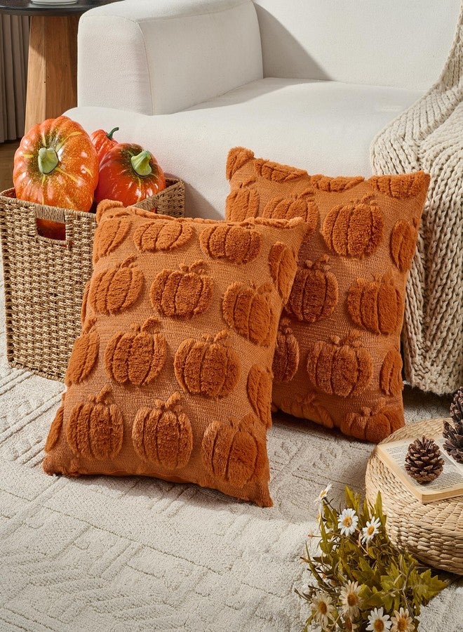 Volcanics Pumpkin Fall Throw Pillow Covers 20x20 Set of 2, Rust Decorative Faux Fur Cushion Covers, Fluffy Plush Accent Pillowcases for Autumn Harvest Farmhouse Couch Decor - Image 1