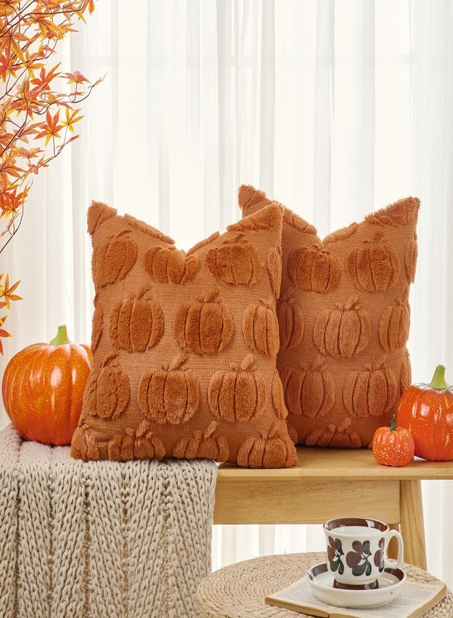 Volcanics Pumpkin Fall Throw Pillow Covers 20x20 Set of 2, Rust Decorative Faux Fur Cushion Covers, Fluffy Plush Accent Pillowcases for Autumn Harvest Farmhouse Couch Decor - Image 2