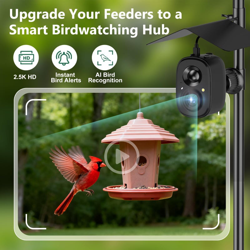 RichBird Smart Bird Feeder Camera Solar Powered with Pole, 2.5K HD Birdwatching Live Video Auto Capture, AI Identification & Instant Notification, Wireless Bird House/Bath Cam Outdoor, Gift for Bird Lovers - Image 2