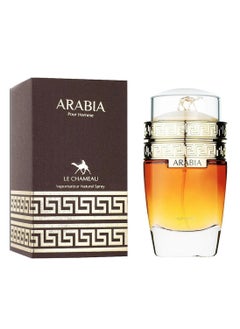 Arabia Eau De Toilette For Men - 100 ML - pzsku/Z099901276D19453BBFE7Z/45/_/1739809018/dfdc680d-610a-4c9d-b188-7c3733fdddab