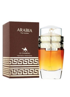 Arabia Eau De Toilette For Men - 100 ML - pzsku/Z099901276D19453BBFE7Z/45/_/1739809028/ed52ef94-60eb-46f3-b705-4314833477d8