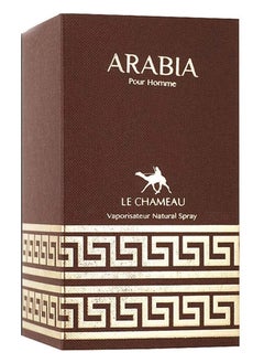 Arabia Eau De Toilette For Men - 100 ML - pzsku/Z099901276D19453BBFE7Z/45/_/1739809029/c5c43823-6a1b-472f-b3f1-a584e917fb44