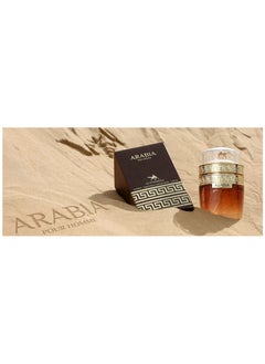 Arabia Eau De Toilette For Men - 100 ML - pzsku/Z099901276D19453BBFE7Z/45/_/1739809068/87e1dd85-ea13-4e2a-95b1-4b581d08b88d