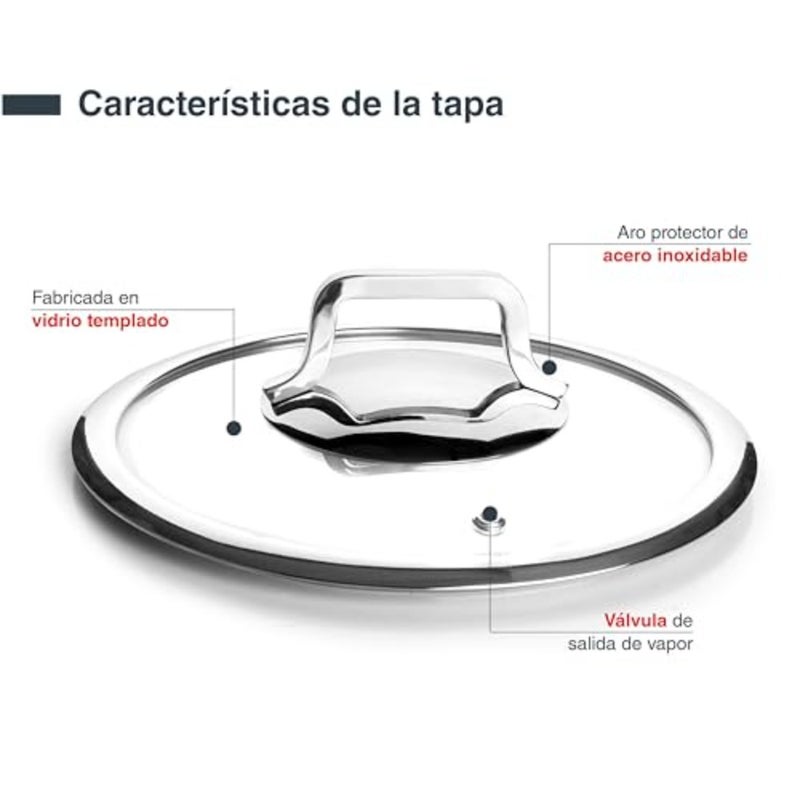 15324 Buffet Cooking Pot with Lid 18/10 Stainless Steel Inner Lining Ground Ergonomic Handles Sandwich Thermal Diffuser Base Suitable for Induction Cookers Oven-Proof Diameter 24 cm - Image 4