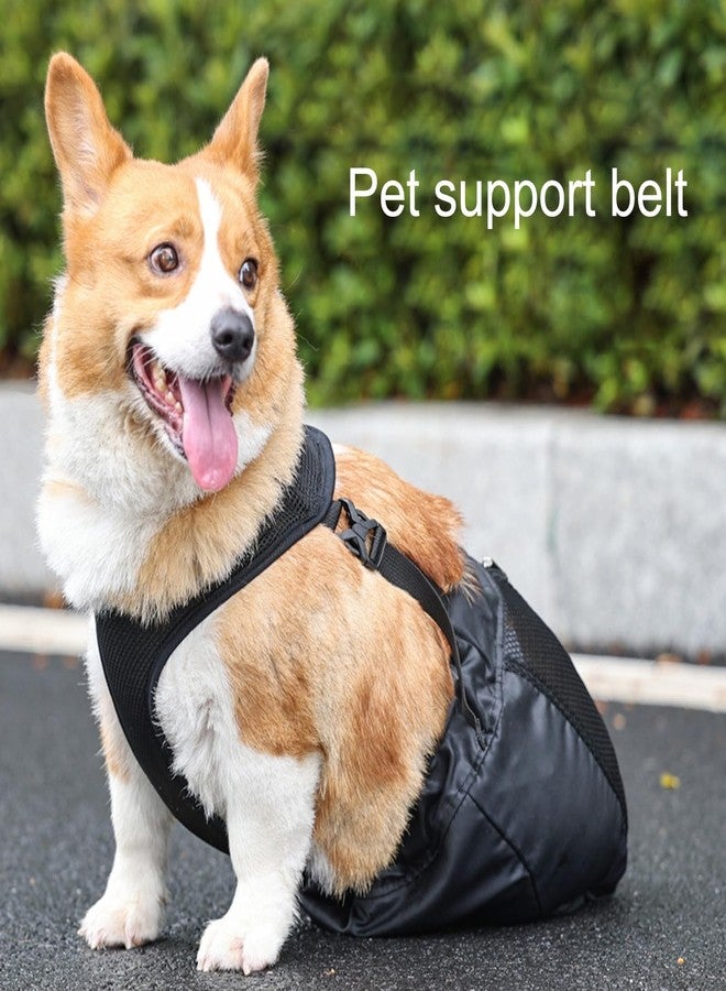 Quincry Drag Bag for Paralyzed Pets, Indoor Dog Wheelchair Alternative for Disabled Back Rear Legs Dog, Protects Chest and Limbs, Durable Nylon Breathable and Comfortable (2XL) - Image 3