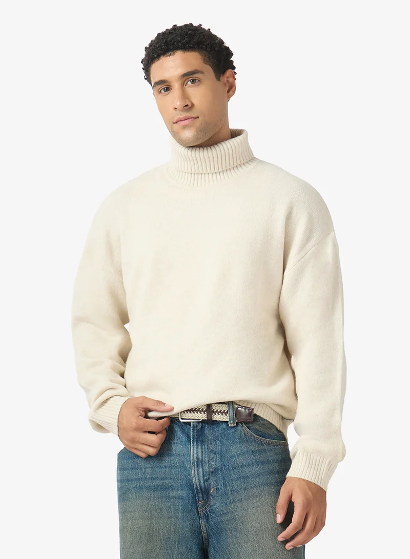 Knitted Relexed Fit Roll Neck Sweaters