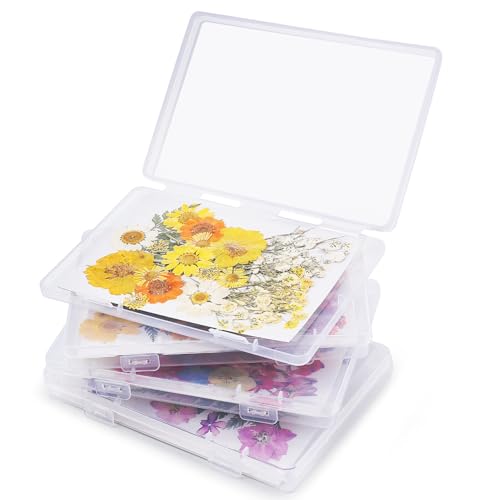 Aboofx 4PCS Dried Flower Storage Set with Blotting Paper Ziplock Bag and Desiccant Flower Preservation Kit Good Seal High Capacity to Keep Flowers Color and Dry 63 x 43 inch - Image 1