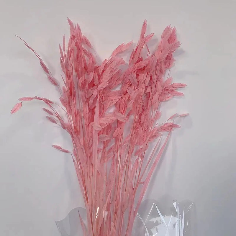 Bluejw Little Hope Grass Eternal Preserved Dried Flower Bouquet – Long-Lasting 3-5 Years, Post-Modern Home Decor Ornament with Natural Dried Plants - Image 1