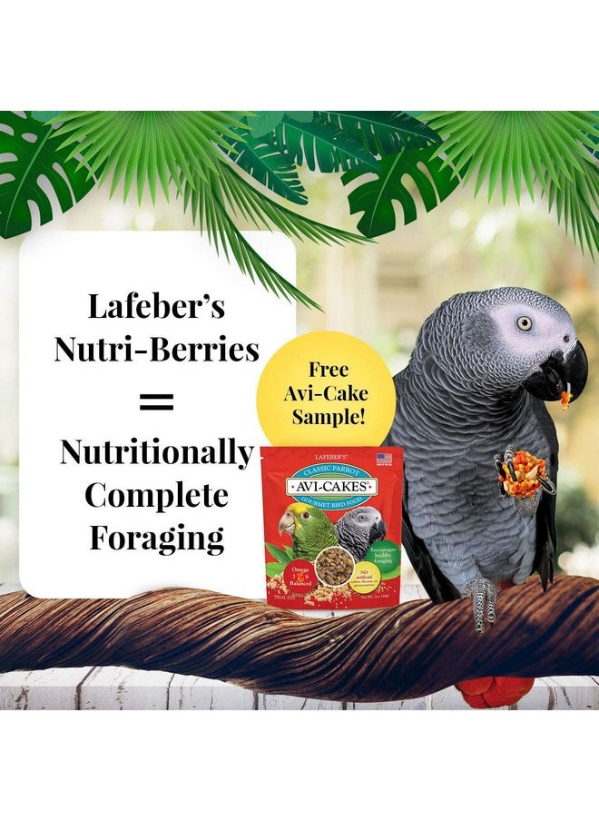 لافيبيرز مجموعة متنوعة من أطعمة الطيور الأليفة Nutri-Berries من LAFEBER'S، مصنوعة من مكونات غير معدلة وراثيًا ومناسبة للبشر، للببغاوات، 10 أونصات لكل منها (مجموعة مكونة من 4 عبوات) مع عينة مجانية من Avi-Cake  - Image 2