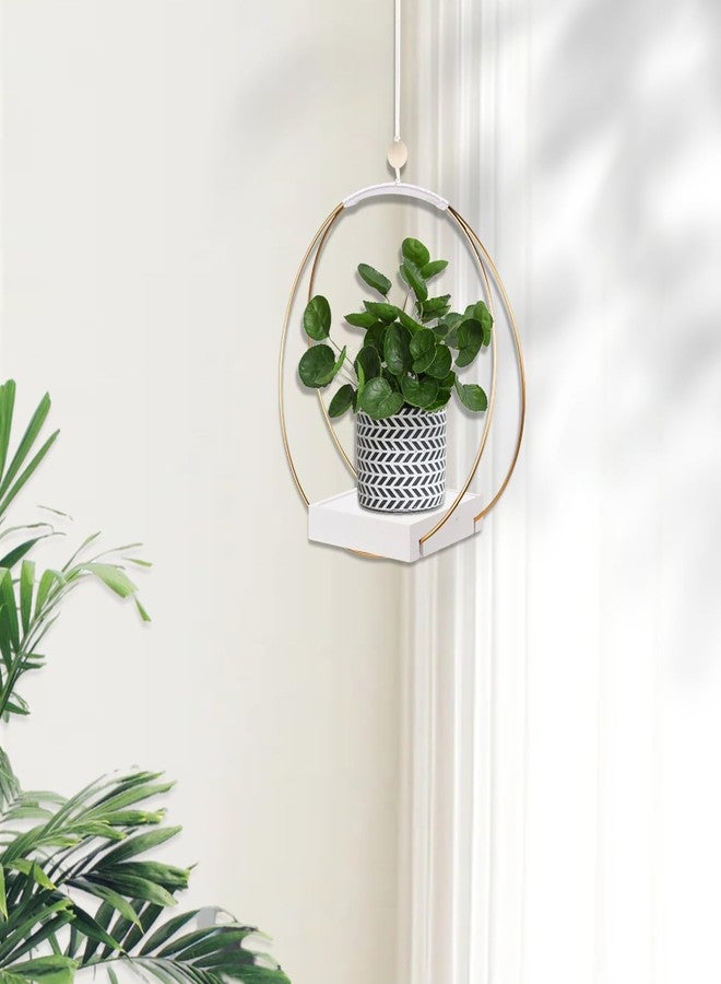 hismocal Hanging Planters for Indoor Plants, Plant Hanger with Sturdy Wood Base,Modern Boho Macrame Plant Hanger,Wall Ceiling Window Stands(Plants/Pots Not Included) - Image 2
