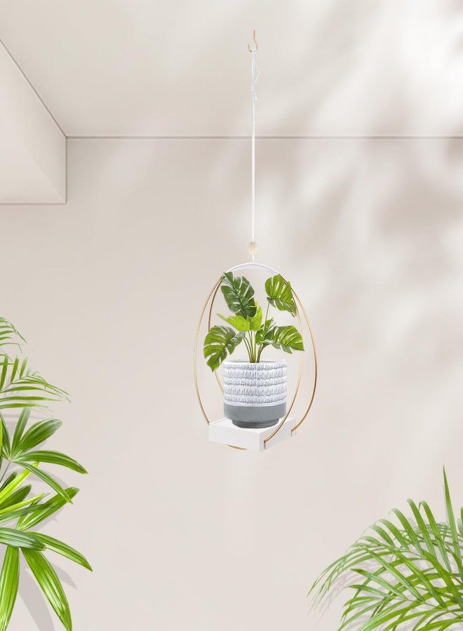 hismocal Hanging Planters for Indoor Plants, Plant Hanger with Sturdy Wood Base,Modern Boho Macrame Plant Hanger,Wall Ceiling Window Stands(Plants/Pots Not Included) - Image 5