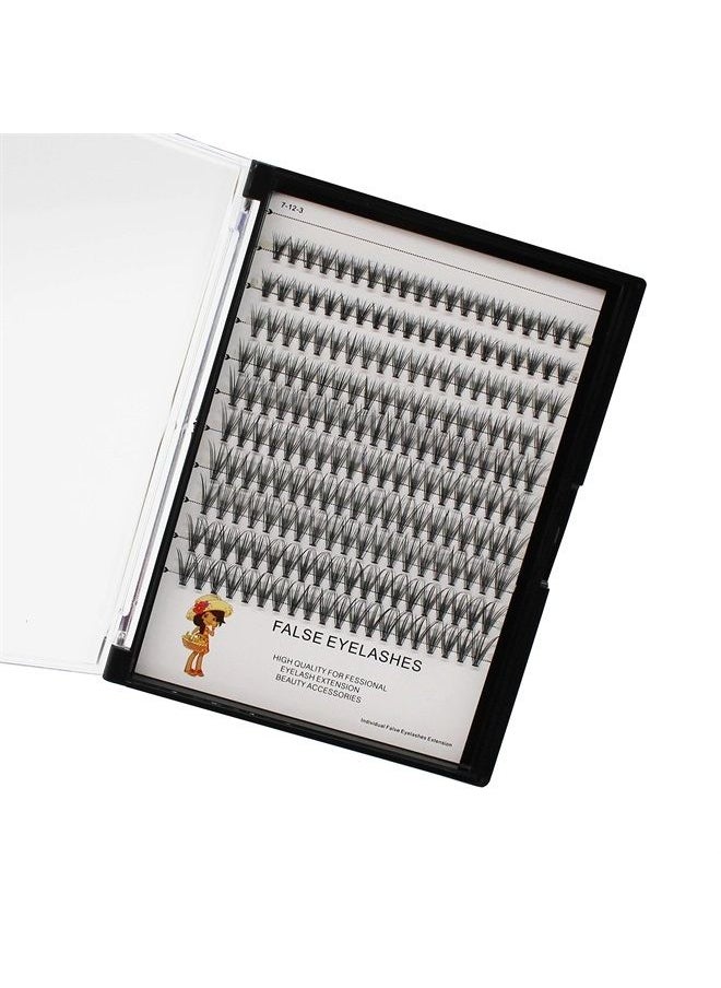 Bodermincer Large Tray 20D Cluster 0.07C,10 Lines,8-10-12-14mm Mixed,9-11-13-15mm Mixed, 10-12-14-16mm Mixed,Natural Long Individual Flare Lashes Cluster False Eyelashes (8-10-12-14mm Mixed) 