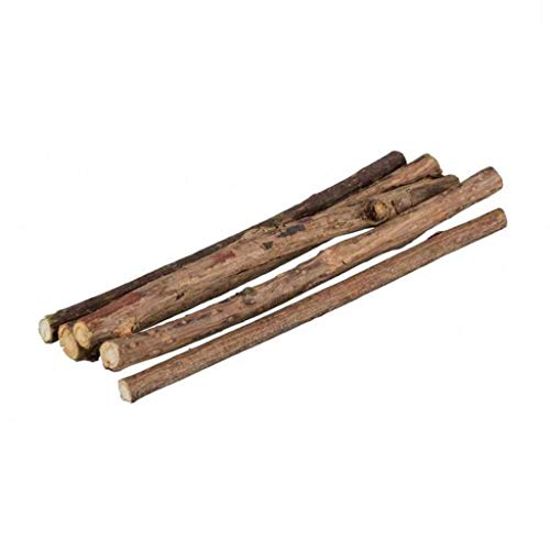 TRIXIE Matatabi Chewing Sticks for Cats 10 Gm,Adult - Image 2