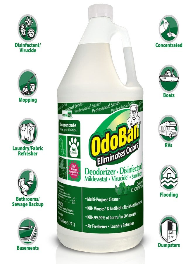 OdoBan Professional Disinfectant and Odor Eliminator Concentrate, 4 Gallons, Original Eucalyptus Scent - Image 2