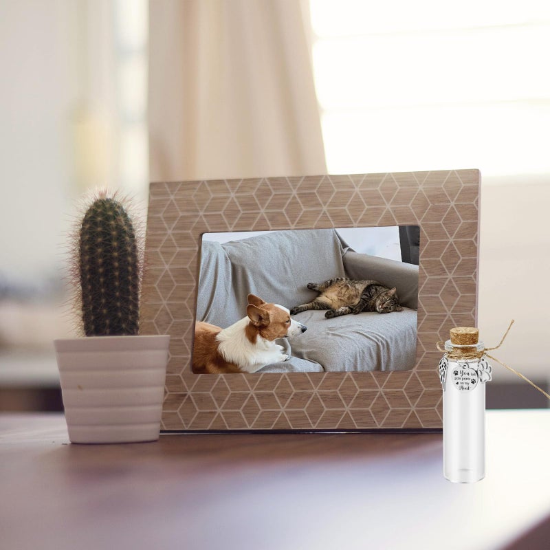 Malihome Pet Hair Memorial Glass Bottle,Vial for Ashes Or Hair Dog Or Cat Keepsake Pet Loss Memory Sympathy Gift (1pcs Glass Bottle) - Image 4