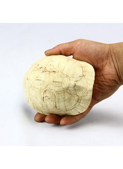 FOMIYES FOMIYES 1pc Resin Turtle Shell Cave Hideout for Reptile Habitat Decorative Rest Cave Ornament for Turtles Snakes Lizards and Hermit Crabs Reptile Shelter and Hiding Place  - Image 3