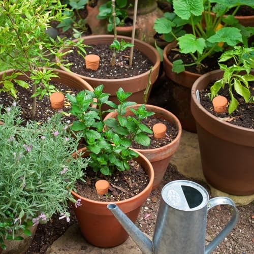 Lovely Ran Ollas 8pcs 3.1 * 6inch Terracotta Plant Watering Globes Self Watering Planter Insert Olla Terra Cotta Clay Irrigation Globes - Image 5
