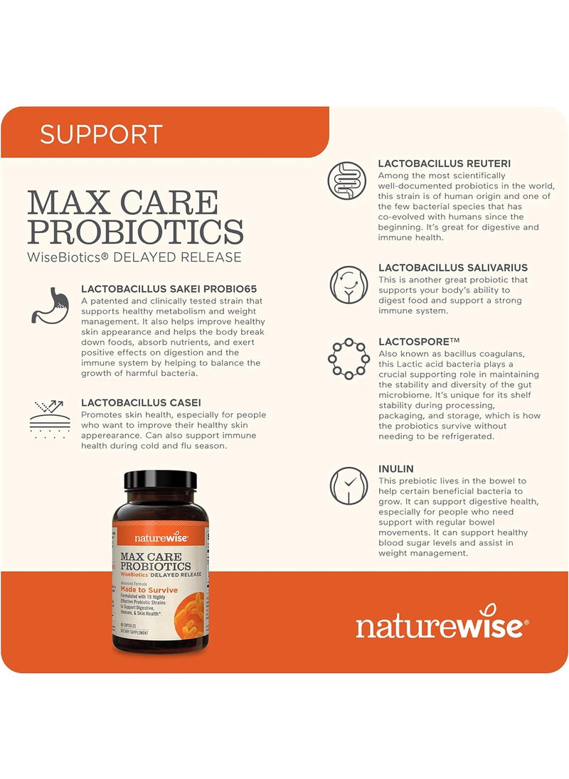 NatureWise - Max Probiotics Delayed Released Capsule 30 Billion Cfu With 12 Highly Effective Strains Shelf Stable 2 Month Supply 60 Capsules - Image 1