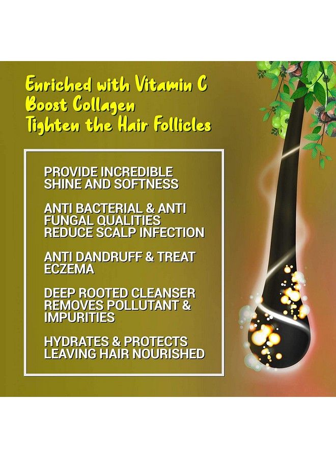 S2M KHADI HERBAL Hair Regrowth Family Pack Combo 8 ; Pure Ayurvedic Herbal Formula For Anti Dandruff Anti Fungal & Hair Growth Booster ; Paraben Free ( Pack Of 6 210 Ml Each ) - Image 4