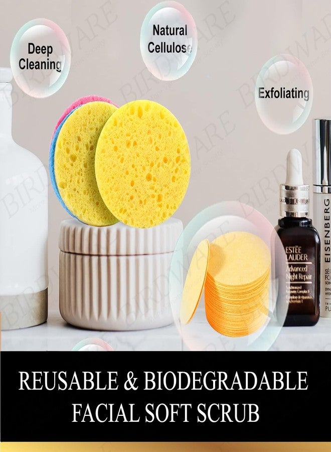 بيردوير ١٢٠ قطعة من إسفنجات الوجه المضغوطة، مقشر طبيعي للوجه، إسفنجات وجه للاستخدام مرة واحدة لتنظيف الوجه، وسادات دائرية ناعمة لتقشير الوجه مع علبة تخزين بلاستيكية لإزالة المكياج، مستلزمات تجميل للسفر - Image 5