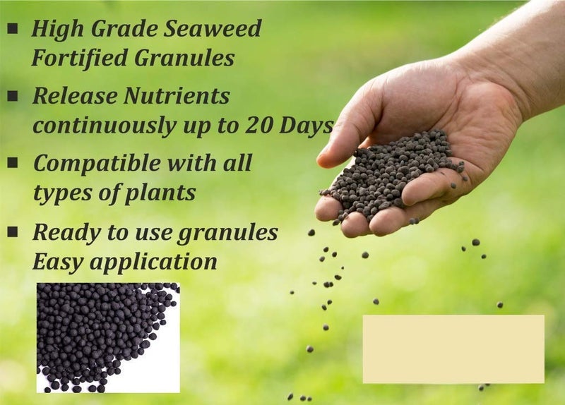Alkarty Seaweed Fertilizer for Orchids Plants 200 Gram - Image 3
