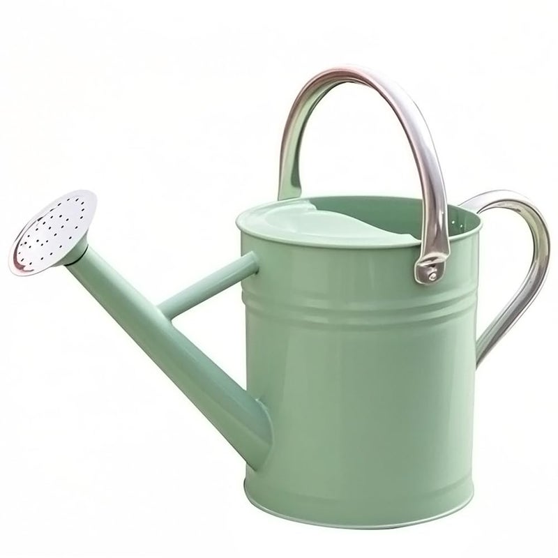 yourjoy Metal Watering Can, One Gallon Watering Cans Stainless Steel for Outdoor Indoor Garden Plants Watering (Cream Green) - Image 1