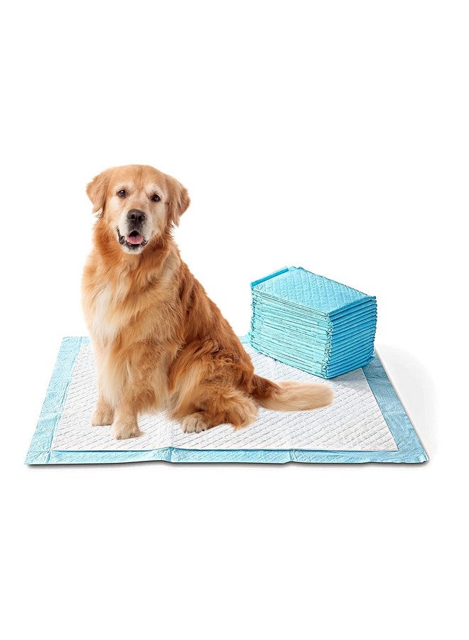 وسادات التبول والمرحاض للاستخدام مرة واحدة لتدريب الحيوانات الأليفة مقاس 45 × 60 سم، متينة ومقاومة للتسرب | وسادة فائقة الامتصاص وإزالة الروائح الكريهة | وسادات مرحاض متعددة الطبقات للكلاب والجراء (20 قطعة) - Image 3