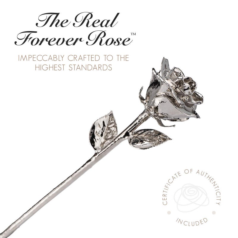 Forever Rose Real Platinum Rose  Genuine One of a Kind Rose Hand Dipped in Platinum Roses to Last a Lifetime - Image 2