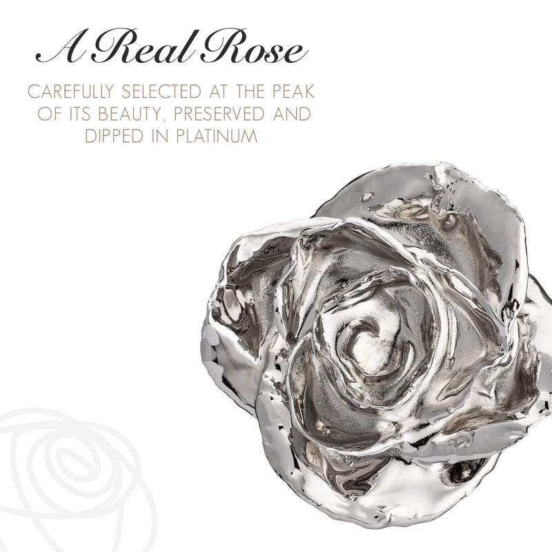 Forever Rose Real Platinum Rose  Genuine One of a Kind Rose Hand Dipped in Platinum Roses to Last a Lifetime - Image 3