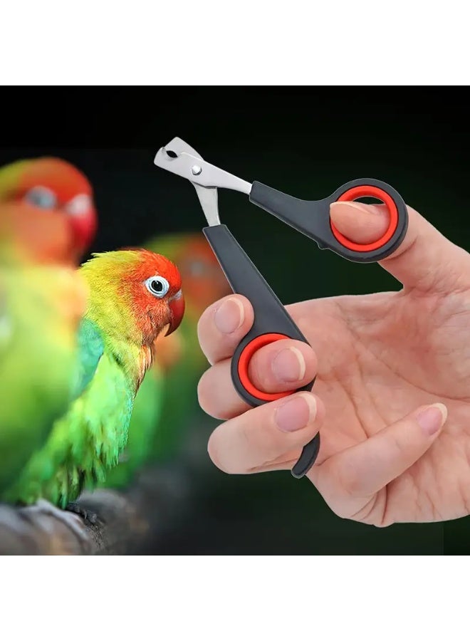 Stainless Steel Pet Nail Clippers, 1Pc Precision Trimmer Scissors for Birds, Dogs, Cats - Durable Claw & Paw Cutter for Parrot, Guinea Pig, Small Animals - Essential Bird Grooming Tool - Image 3