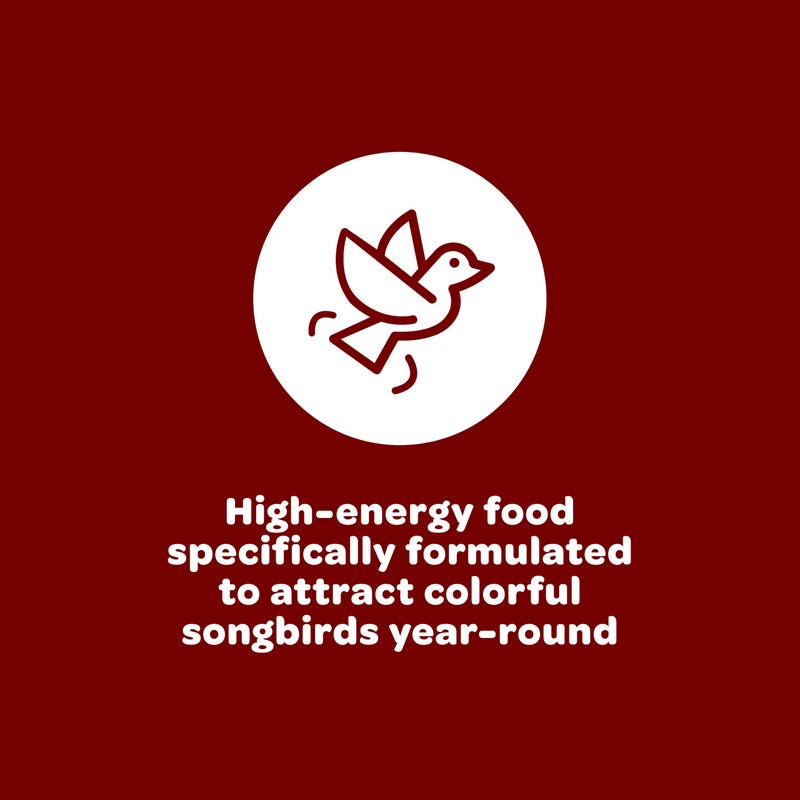 Kaytee Songbird Wild Bird Seed Food, Blended for Grosbeaks, Chickadees, Titmice, Cardinals, Nuthatches & More, 7 Pounds - Image 4