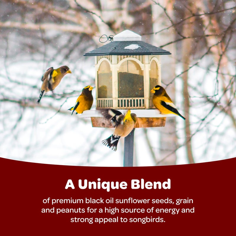 Kaytee Songbird Wild Bird Seed Food, Blended for Grosbeaks, Chickadees, Titmice, Cardinals, Nuthatches & More, 7 Pounds - Image 3