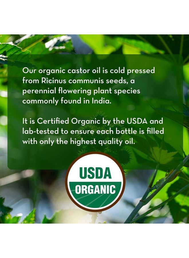 بيور بدي ناتشورالز زيت الخروع لنمو شعر الوجه والبشرة والجسم، زيت الخروع العضوي المضغوط على البارد، أسيت دي ريسينو الهكسان، خالي من غير المكرر، 16 أونصة سائلة - Image 4