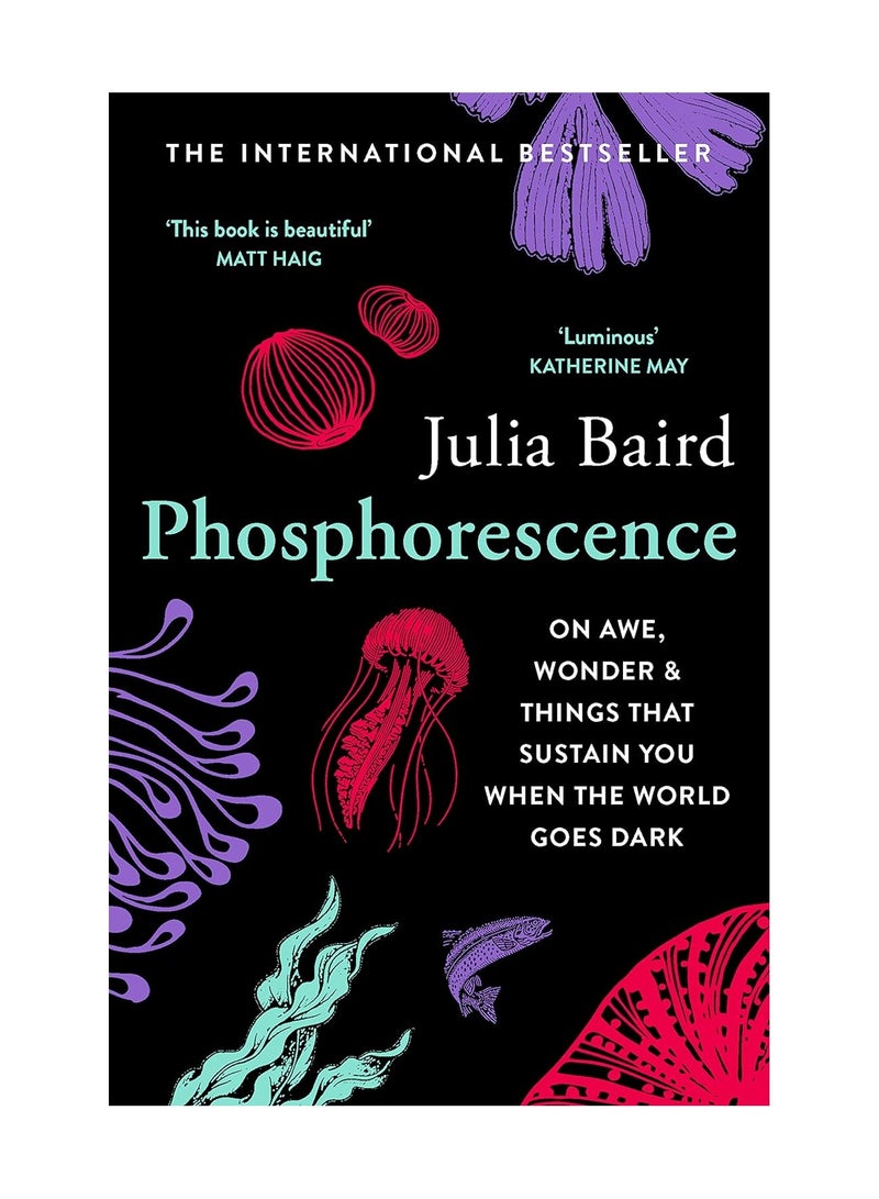 Phosphorescence On Awe Wonder & Things That Sustain You When The World Goes Dark Paperback 