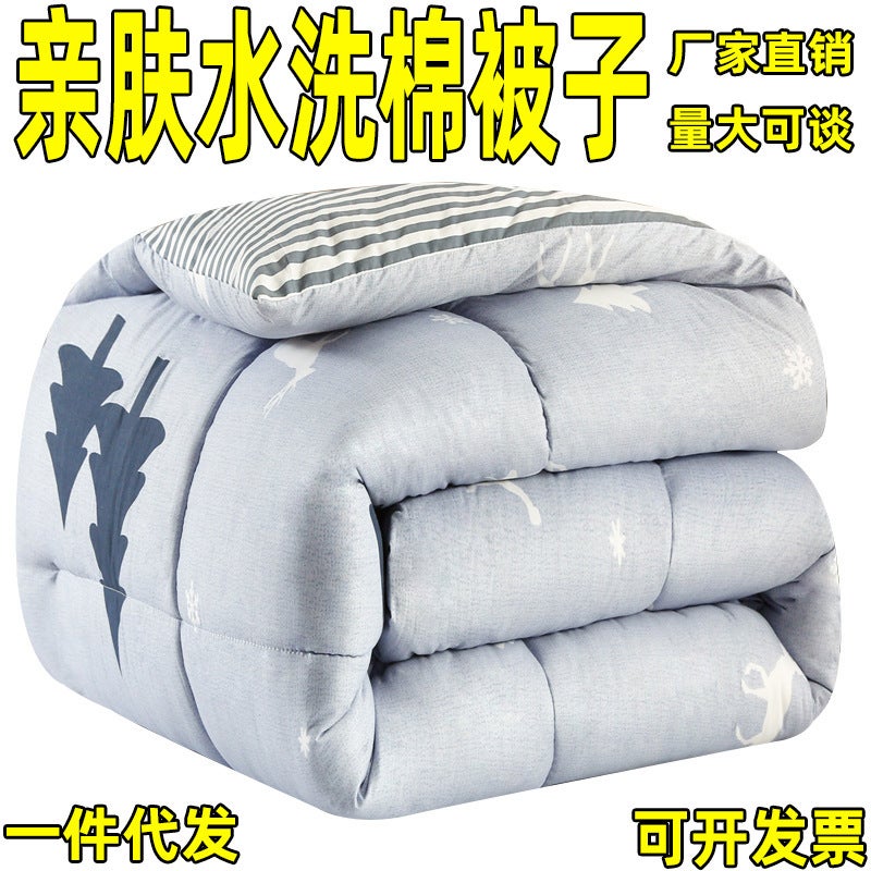 Quilt Soybean Quilt Winter Thick Quilt Thickened Warm Quilt Space Quilt Core Dormitory Single Student Bedding - Image 5