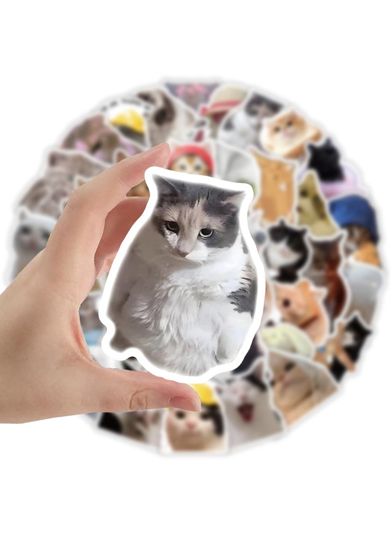 53Pcs Cute Cat Meme Stickers, Funny Kitten Stickers for Journaling Laptop Scrapbook Water Bottles Guitar Suitcase, Waterproof Vinyl Decals for Teens Adults Kids Boys Girls Gift  - Image 2