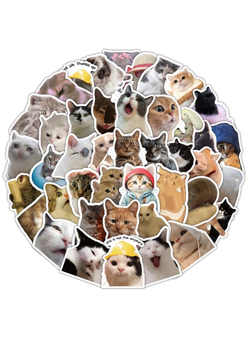 53Pcs Cute Cat Meme Stickers, Funny Kitten Stickers for Journaling Laptop Scrapbook Water Bottles Guitar Suitcase, Waterproof Vinyl Decals for Teens Adults Kids Boys Girls Gift  - Image 4