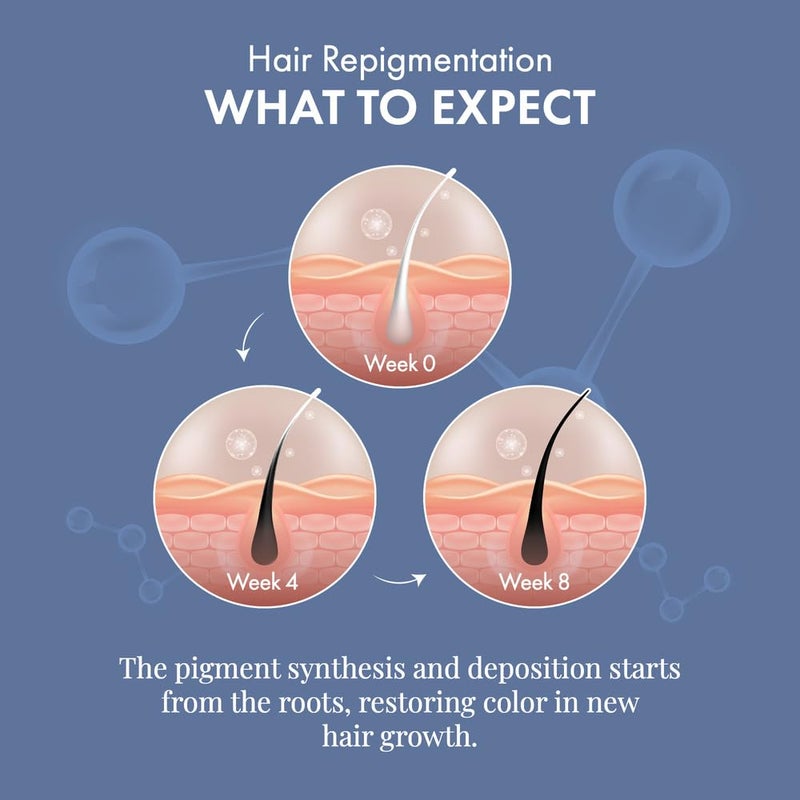 ThriveCo AntiGrey Hair Prime Serum  Reverses  Limits Hair Greying  Arcolys  Biotin  Black Tea Extract  LightWeight NonSticky  Odourless  For Men and Women  50 Ml - Image 5