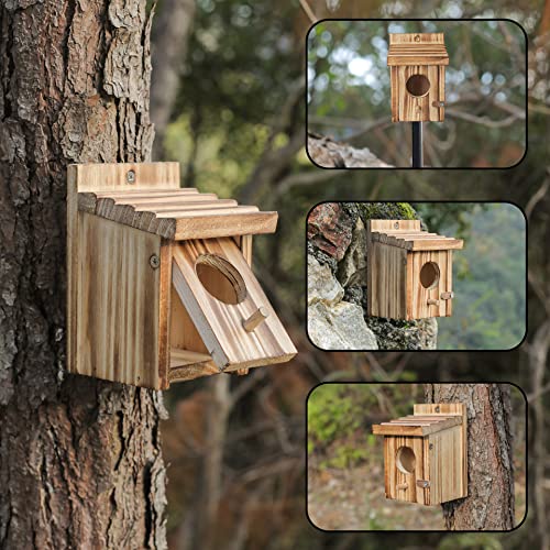 NATUREYLWL بيوت الطيور الطنانة للتعليق الخارجي - صندوق تعشيش للطيور الصغيرة - عش خشبي للروبن، الطائر الطنان، الببغاء، الطائر الأزرق - بيت للطيور في الهواء الطلق - مصنوع من خشب الصنوبر - Image 3