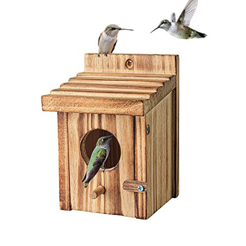 NATUREYLWL بيوت الطيور الطنانة للتعليق الخارجي - صندوق تعشيش للطيور الصغيرة - عش خشبي للروبن، الطائر الطنان، الببغاء، الطائر الأزرق - بيت للطيور في الهواء الطلق - مصنوع من خشب الصنوبر - Image 1