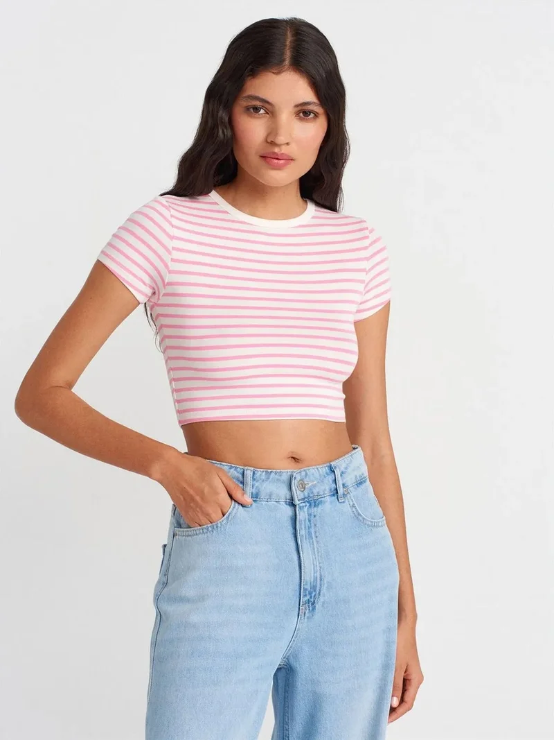 ديلفين DILVIN Striped Crop Top Blouse