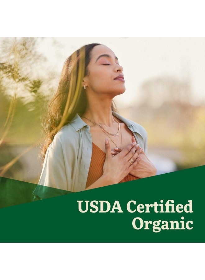 Floradix بلورات الشمندر الحمراء من فلوراديكس سالوس - مزيج مسحوق جذر الشمندر العضوي - مكمل مسحوق سوبر فود مع فيتامين C، حمض الفوليك، المغنيسيوم والبوتاسيوم - 7 أونصات - Image 5