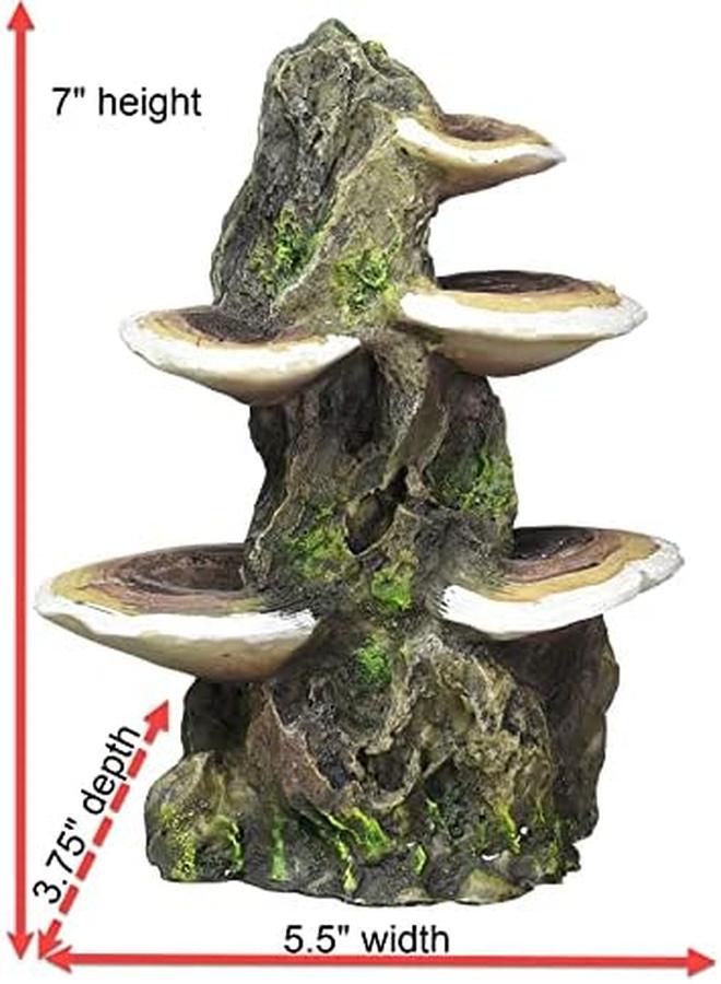 Penn Plax Deco Replicas Tree Trunk With Shelf Mushrooms Aquarium Decoration – Safe For Freshwater And Saltwater Fish Tanks – Medium - Image 3