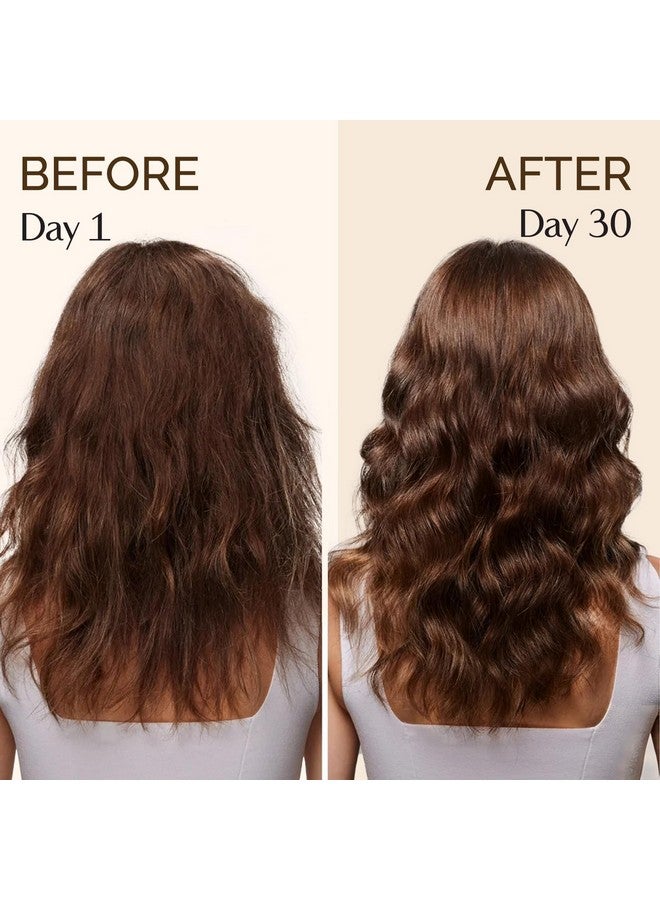 يانيبست زيت باتانا من يانيبيست، يعزز كثافة الشعر، يغذي فروة الرأس، يخفف الجفاف والحكة، يحسن صحة فروة الرأس - Image 5