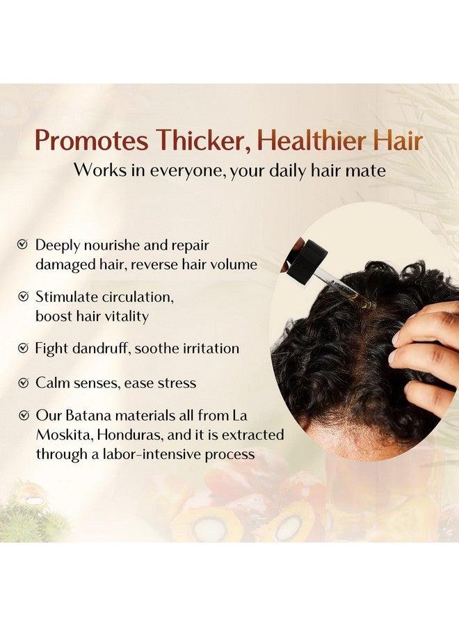 يانيبست زيت باتانا من يانيبيست، يعزز كثافة الشعر، يغذي فروة الرأس، يخفف الجفاف والحكة، يحسن صحة فروة الرأس - Image 4