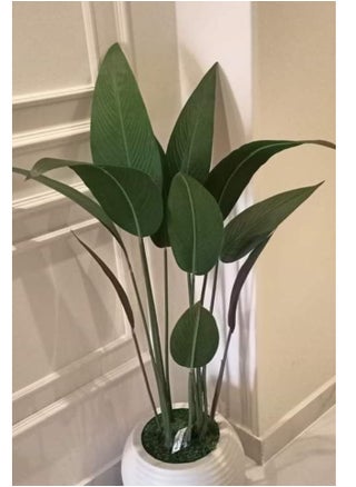 Artificial banana tree - pzsku/Z09B82181241B91C8604AZ/45/_/1735056986/bdec373b-dd16-44a7-94f1-c67add55850e