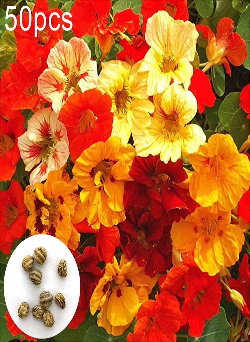 GGOOT Green Garden Flower Plants-50Pcs Nasturtium Flower Seeds Home Garden Office Bonsai Ornamental Plant Decor - Nasturtium Seeds - Image 1