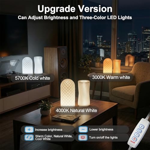 BambooSegD 5PCS LED Lamp Kit 001 Three Colors for Bambu Lab H2S/P2S/P1P/A1 Makerworld for anycubic Makeronline 3D Printer Light DIY Hardware Model Spare Parts 5V USB Powered, 3000K Warm Light - Image 3